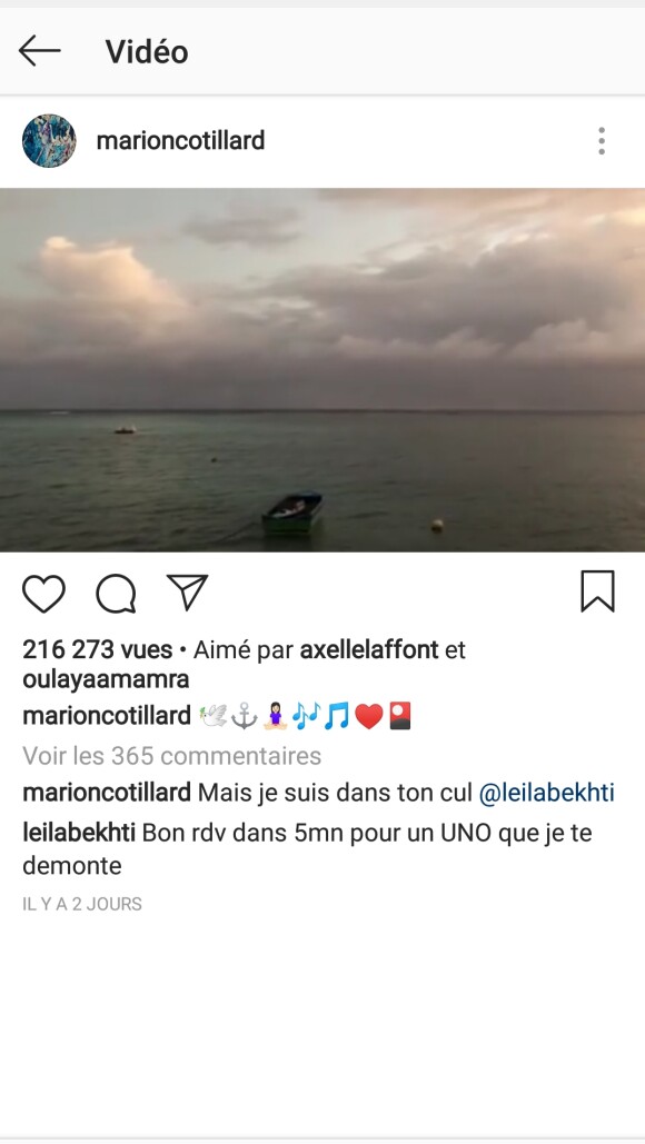 Capture d'écran de l'Instagram de Marion Cotillard, le 2 janvier 2018.