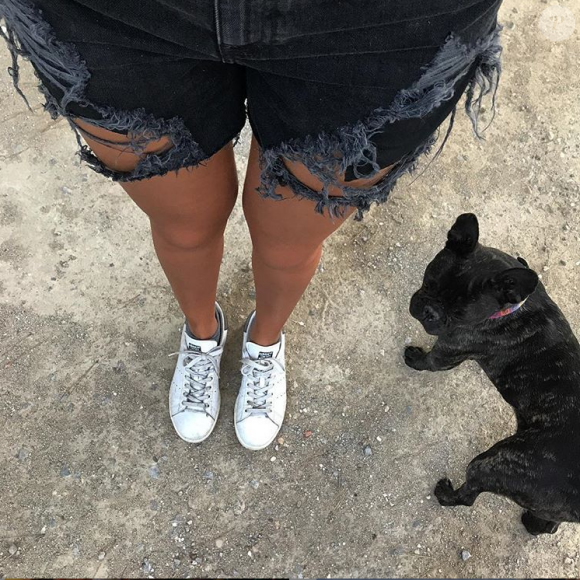 L'un des chiens de Jesta et Benoît - Instagram, 12 août 2017
