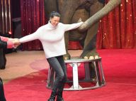 Stéphanie de Monaco : Happée par un éléphant, sa famille de cirque se l'arrache