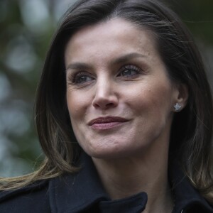 La reine Letizia d'Espagne arrivant le 17 janvier 2019 pour sa réunion de travail avec le comité exécutif de la Fédérations des maladies rares (FEDER) à Madrid.