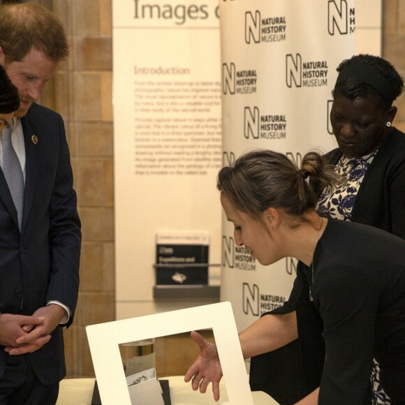 Le prince Harry et Meghan Markle, enceinte, arrivent au musée d'histoire naturelle pour assister à la soirée de gala The Wider Earth à Londres le 12 février 2019.