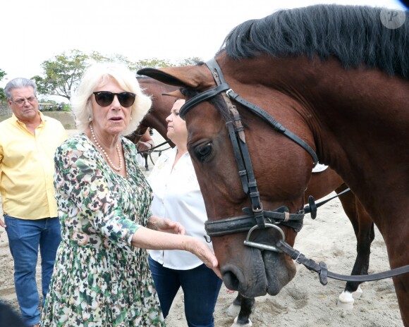 Camilla Parker Bowles, duchesse de Cornouailles, visite le centre équestre national lors de son voyage officiel à Cuba, le 27 mars 2019.