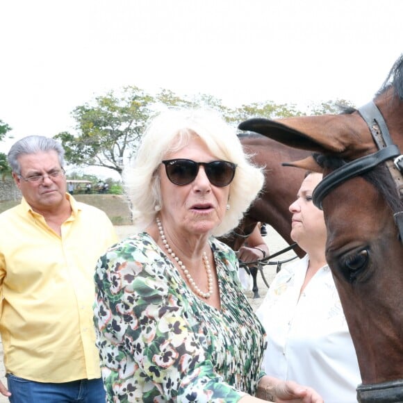 Camilla Parker Bowles, duchesse de Cornouailles, visite le centre équestre national lors de son voyage officiel à Cuba, le 27 mars 2019.