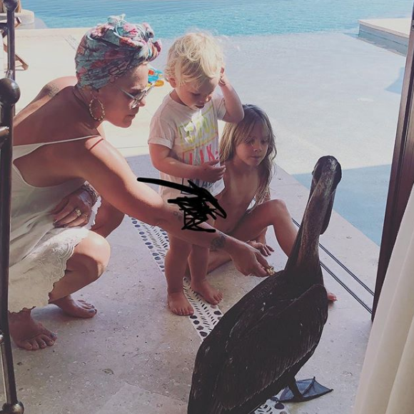 Pink et ses enfants, Jameson et Willow, sur Instagram en mars 2019.