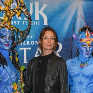 Audrey Marnay à la première du nouveau spectacle du Cirque du Soleil "Toruk", inspiré du film Avatar de J. Cameron à l'AccorHotels Arena de Bercy à Paris le 4 avril 2019. © Coadic Guirec/Bestimage