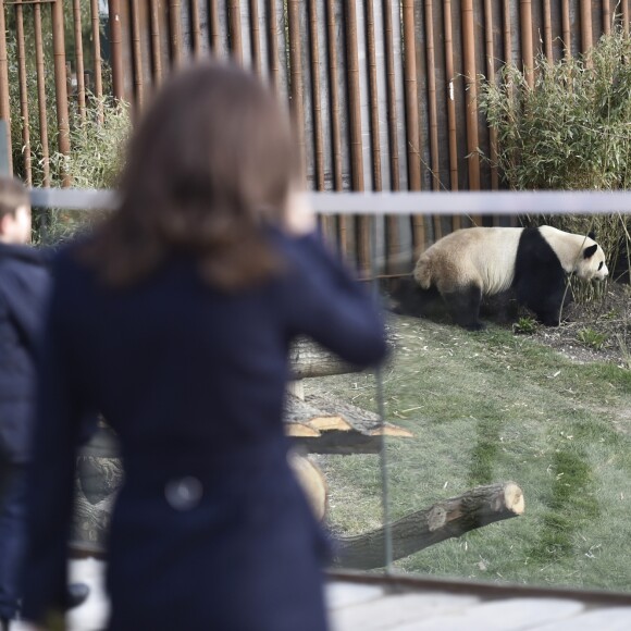 La princesse Mary de Danemark a ouvert officiellement le zoo de Copenhague avec ses enfants la princesse Josephine et le prince Vincent le 11 avril 2019 à l'occasion de la présentation des pandas Mao Sun et Xing Er, arrivés de Chine quelques jours plus tôt et installés dans un enclos spécialement conçu.