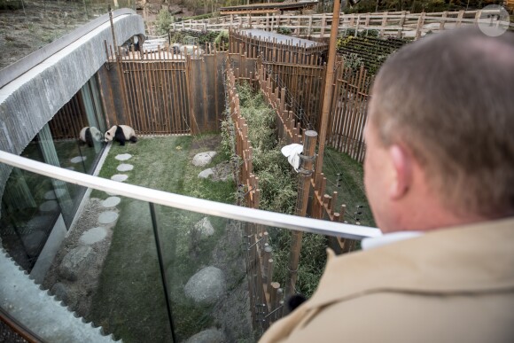 Le nouvel enclos des pandas Mao Sun et Xing Er, arrivés de Chine et présentés au public le 11 avril 2019, a été inauguré au zoo de Copenhague le 10 avril 2019 par la reine Margrethe II de Danemark et la princesse Mary.