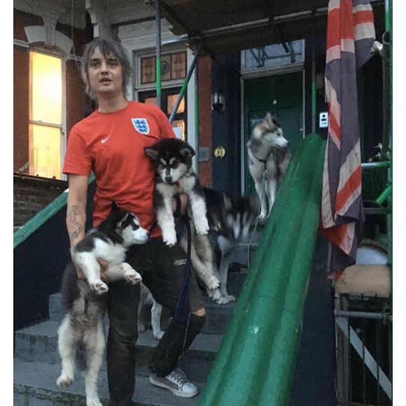 Pete Doherty et ses chiens. Novembre 2018.