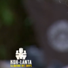 Nicolas dans "Koh-Lanta, la guerre des chefs" (TF1) vendredi 31 mai 2019.