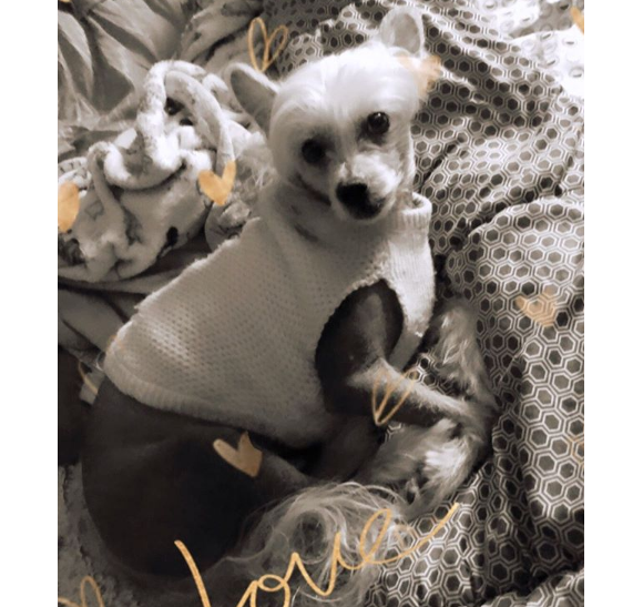 Titi, le chien de Loana, sur Instagram, le 25 juin 2019