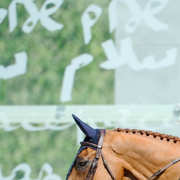 Guillaume Canet sur Sweet Boy d'Alpa 187 pendant le Prix Geberit en faveur de l'association Ela lors du Longines Paris Eiffel Jumping au Champ de Mars à Paris, France, le 7 juillet 2019. © Pierre Perusseau/Bestimage