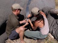 Meghan Markle : Des photos inédites de son voyage en Afrique avec Harry révélées