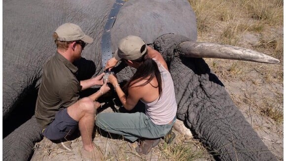 Meghan Markle : Des photos inédites de son voyage en Afrique avec Harry révélées