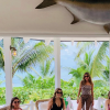 Sofia Vergara et des amis en vacances dans les Caraïbes. Août 2019.