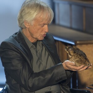 Le chanteur Dave - Enregistrement de l'émission "Animaux Stars" qui sera diffusée sur la chaine "Animaux" au Bastille Design Center à Paris. Le 15 janvier 2018 © Pierre Perusseau / Bestimage