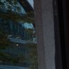Exclusif - Vernissage de l'exposition de photographies et signature du livre de Simon Procter "Lagerfeld : The Chanel Shows" en hommage à Karl Lagerfeld édité par Rizzoli au Royal Monceau Raffles à Paris, le 26 septembre 2019. © Cyril Moreau / BestImage