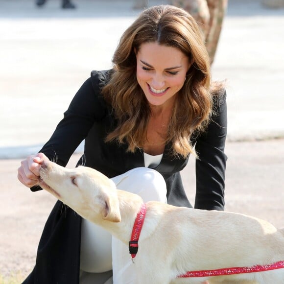 Le prince William et Kate Middleton visitent un centre militaire de formation canine. Le Royaume-Uni apporte son soutien à ce programme de formation de chiens à l'identification d'explosifs. Islamabad, le 18 octobre 2019.