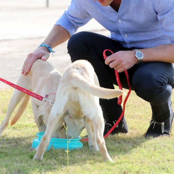 Le prince William et Kate Middleton visitent un centre militaire de formation canine. Le Royaume-Uni apporte son soutien à ce programme de formation de chiens à l'identification d'explosifs. Islamabad, le 18 octobre 2019.