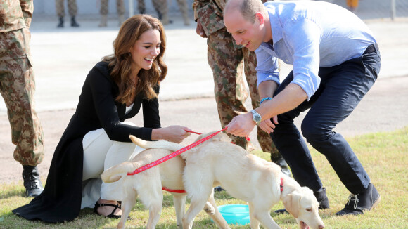 Kate Middleton, William et des chiots : caresses et croquettes avant de rentrer
