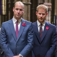 Meghan Markle et Harry : Le prince William se fait du souci pour eux