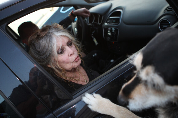 Brigitte Bardot arrive pour poser avec l'équipage de Brigitte Bardot Sea Shepherd, le célèbre trimaran d'intervention de l'organisation écologiste, sur le port de Saint-Tropez, le 26 septembre 2014