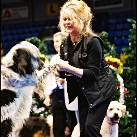 Brigitte Bardot au Noêl des animaux de la SPA en 2004.