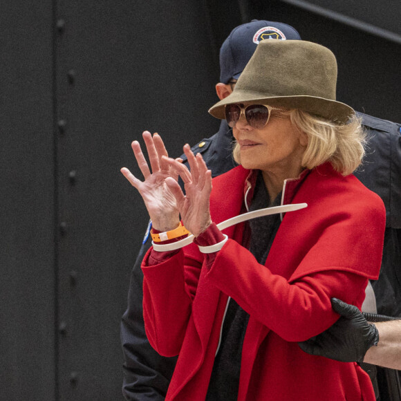 Jane Fonda, 81 ans, a été arrêtée par la police pour la quatrième fois en autant de semaines alors qu'elle menait une nouvelle manifestation le 1er novembre 2019 à Washington pour alerter les décideurs politiques et l'opinion publique sur l'urgence d'agir face à la crise du changement climatique.