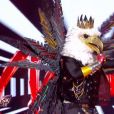 Screenshot de la performance de l'aigle dans l'émission "Mask Singer" le vendredi 8 novembre 2019 sur TF1.