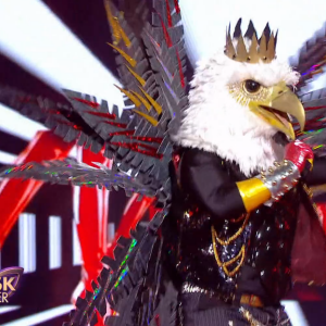 Screenshot de la performance de l'aigle dans l'émission "Mask Singer" le vendredi 8 novembre 2019 sur TF1.