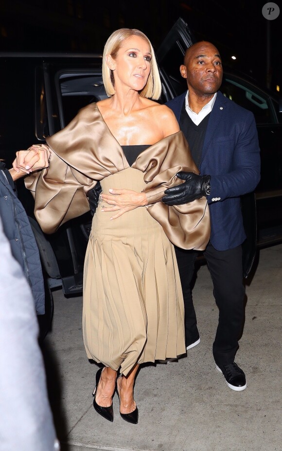 Celine Dion semble cacher une tâche sur sa robe sur le plateau de l'émission The Tonight Show avec Jimmy Fallon à New York, le 14 novembre 2019.