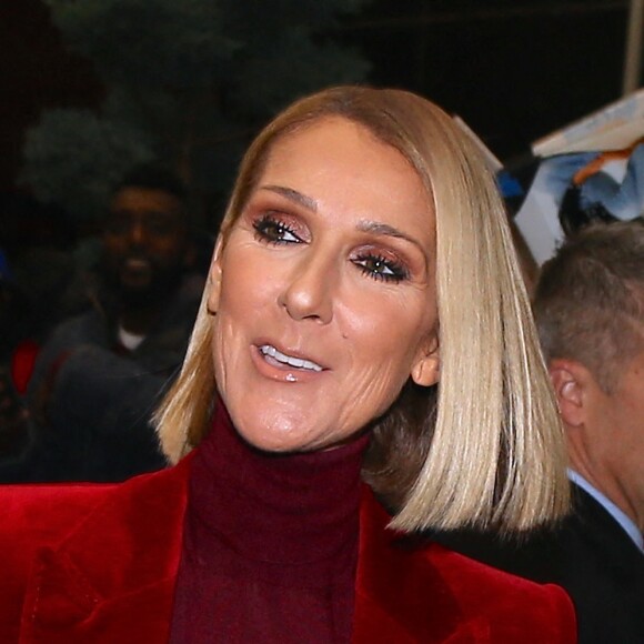 Céline Dion quitte son hôtel. New York. Le 14 novembre 2019. @Dylan Travis/ABACAPRESS.COM