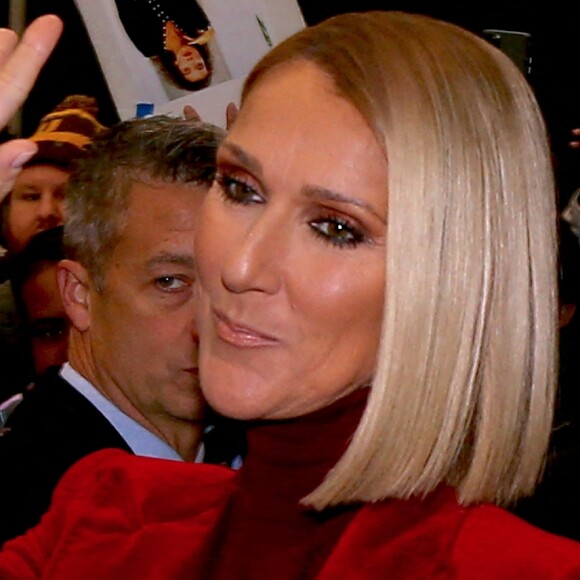 Céline Dion quitte son hôtel. New York. Le 14 novembre 2019. @Dylan Travis/ABACAPRESS.COM