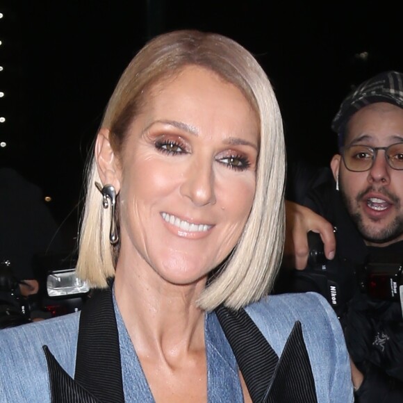Céline Dion arbore à la sortie de son hôtel à New York, le 14 novembre 2019.