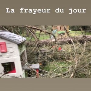 Grosse frayeur pour Faustine Bollaert et sa famille après le passage de la tempête Ciara, sur Instagram, le 9 février 2020.