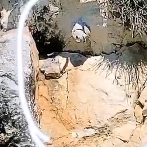 Rayane Bensetti dévoile sa dernière mésaventure sur le tourne d'"Il était une fois Monaco", le 6 juillet 2020