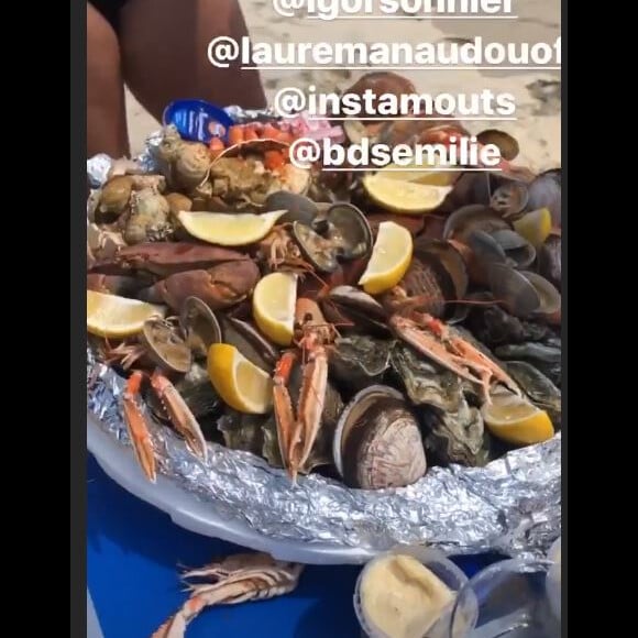 Jérémy Fréro partage sa journée à la plage avec Laure Manaudou, Lou et des amis, le 30 juillet 2020, en story Instagram