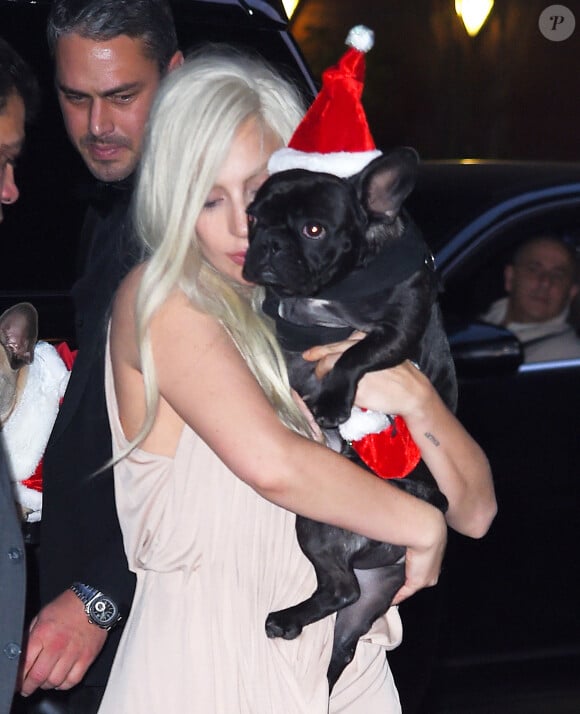 Lady Gaga et son compagnon Taylor Kinney arrivent avec leurs chiens, Miss Asia et Koji déguisés en Père Noël à New York le 11 décembre 2015.