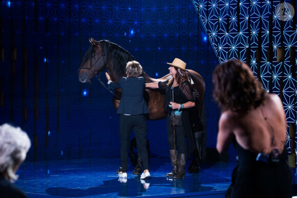 Exclusif - Joëlle Balland, Véronique Jannot et son cheval Alboroto - Enregistrement de l'émission "La boîte à Secrets 5" à Paris, qui sera diffusée le 6 novembre sur France 3. Le 21 septembre 2020. © Tiziano Da Silva / Bestimage