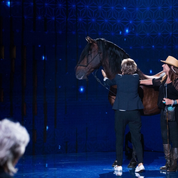 Exclusif - Joëlle Balland, Véronique Jannot et son cheval Alboroto - Enregistrement de l'émission "La boîte à Secrets 5" à Paris, qui sera diffusée le 6 novembre sur France 3. Le 21 septembre 2020. © Tiziano Da Silva / Bestimage