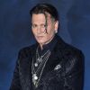 Johnny Depp : Sa photo derrière les barreaux surprend...