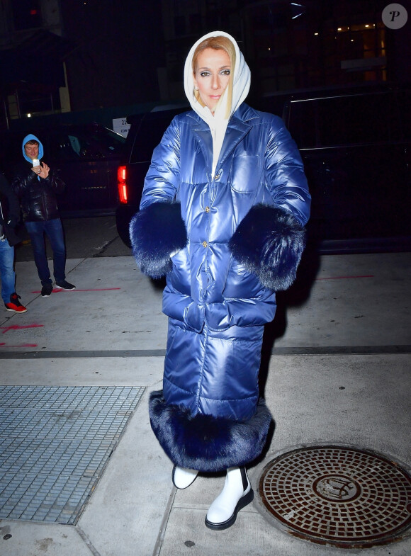 Celine Dion brave le froid de New York avec une maxi doudoune le 7 mars 2020. 