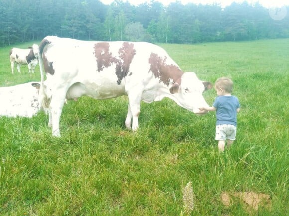 Le fils de Nathalie et Victor de "L'amour est dans le pré" avec une vache, photo Instagram du 5 mai 2020