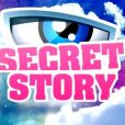 Logo Secret Story