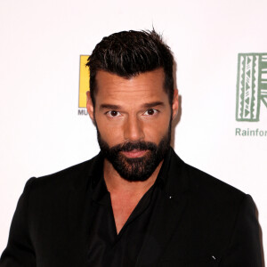 Ricky Martin à la 30ème soirée caritative Rainforest au théâtre The Beacon à New York, le 9 décembre 2019 © Sonia Moskowitz/Globe Photos via Zuma/Bestimage 