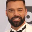 Ricky Martin - Photocall - 25ème cérémonie annuelle des Screen Actors Guild Awards au Shrine Audritorium à Los Angeles, le 27 janvier 2019. © Faye Sadou/AdMedia/Zuma Press/Bestimage   