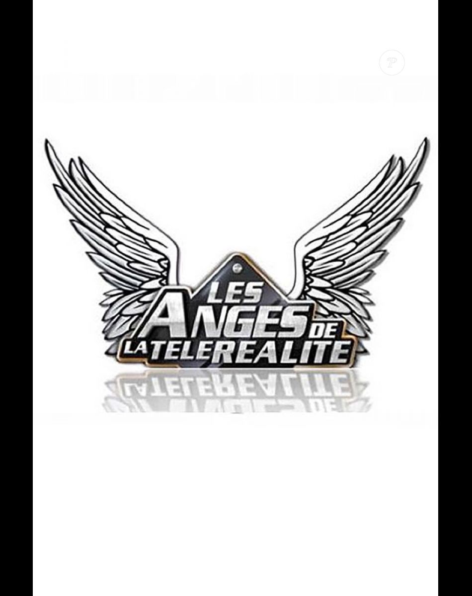 Logo de l'émission "Les Anges".