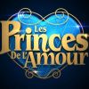 Logo des "Princes de l'amour", sur W9