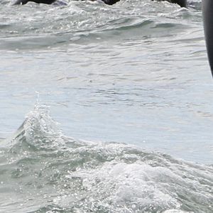 Exclusif - Leighton Meester et Adam Brody fêtent leur 6ème anniversaire de mariage en faisant du surf pendant 90 minutes à Malibu, le 15 février 2021. Le couple s'est rencontré sur le tournage de "The Oranges" et a aujourd'hui deux enfants.