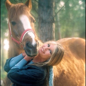 Brigitte Bardot - Archives.