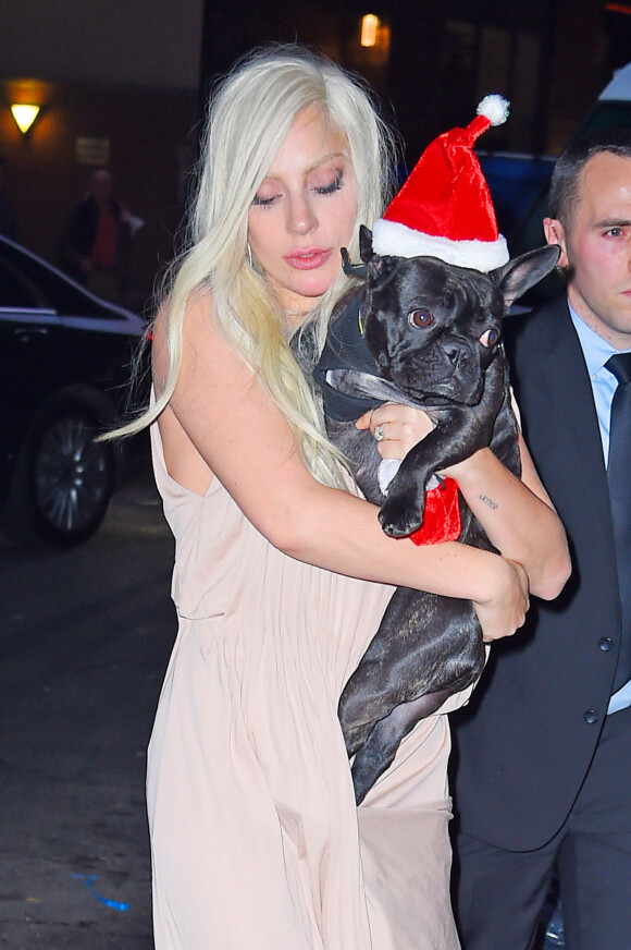 Lady Gaga et son bouledogue à New York le 11 décembre 2015.